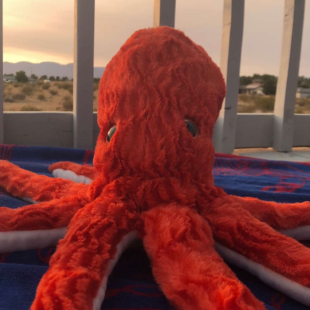 Petting zoo octopus stuffed animal